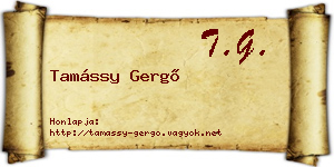 Tamássy Gergő névjegykártya